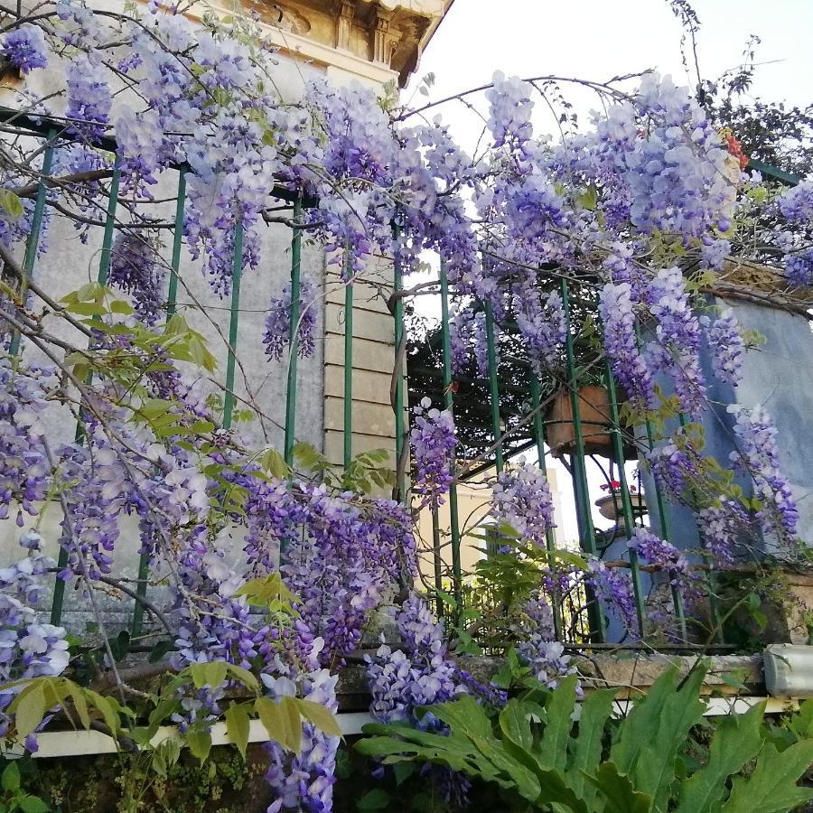 Villa Manasse Ачи Костелло Экстерьер фото